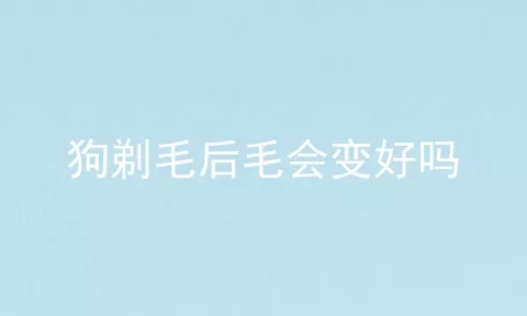 狗剃毛后毛会变好吗