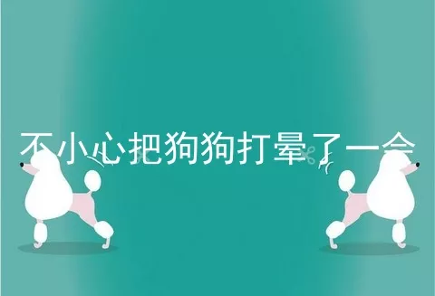 不小心把狗狗打晕了一会