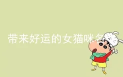 带来好运的女猫咪名字