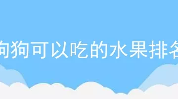 狗狗可以吃的水果排名