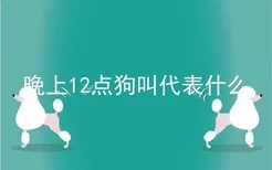 晚上12点狗叫代表什么