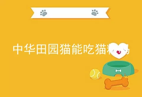 中华田园猫能吃猫粮吗