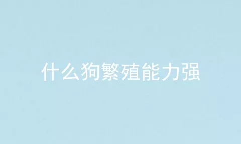 什么狗繁殖能力强