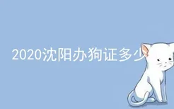 2020沈阳办狗证多少钱