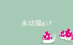 永动猫gif