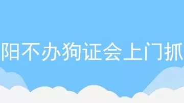 沈阳不办狗证会上门抓吗