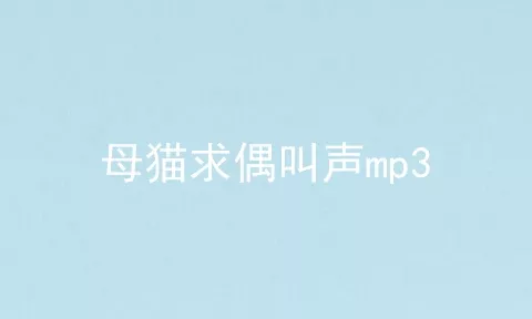 母猫求偶叫声mp3