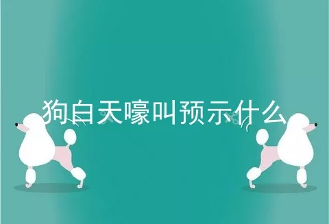 狗白天嚎叫预示什么