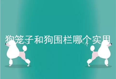 狗笼子和狗围栏哪个实用