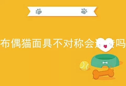 布偶猫面具不对称会遗传吗