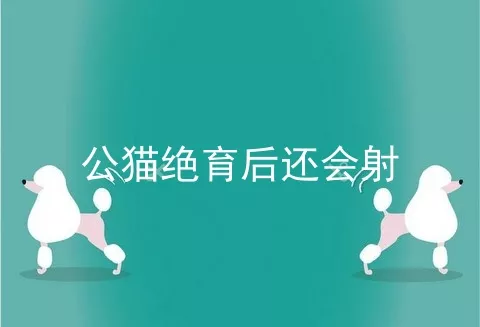 公猫绝育后还会射