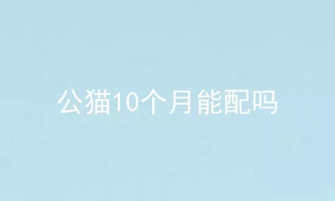 公猫10个月能配吗