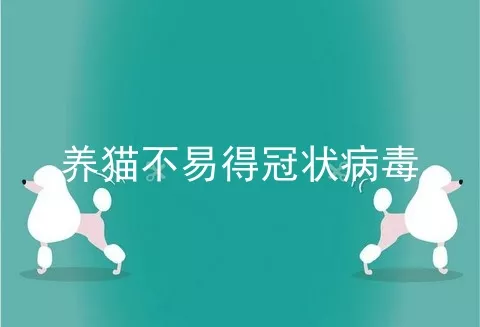 养猫不易得冠状病毒