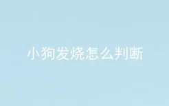 小狗发烧怎么判断