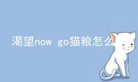 渴望now go猫粮怎么样