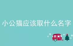 小公猫应该取什么名字