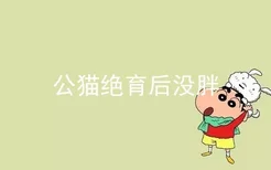 公猫绝育后没胖