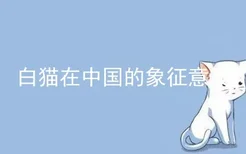 白猫在中国的象征意义