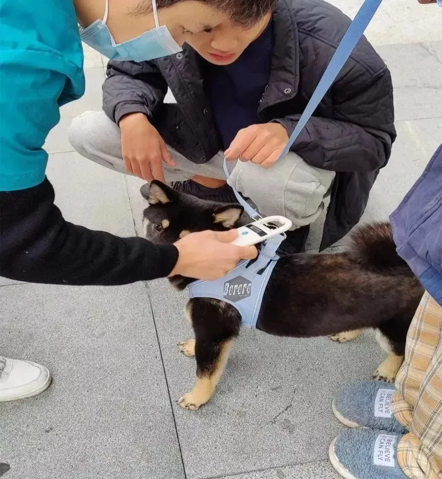 益阳启动文明养犬宣传活动