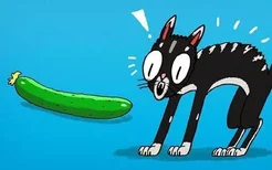 为什么猫怕黄瓜